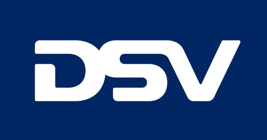 DsvLOGOWhite2